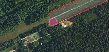 Działka budowlana 977 m², las i cisza – zakrzów