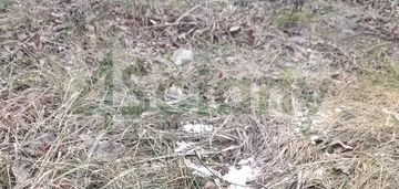 Zabudowa szeregowa, bliźniacza i jednorodzinna.