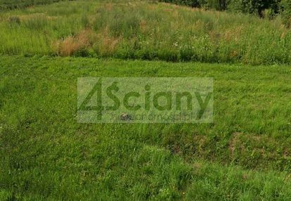 Działka 3000 m2 w starym łajszczewie
