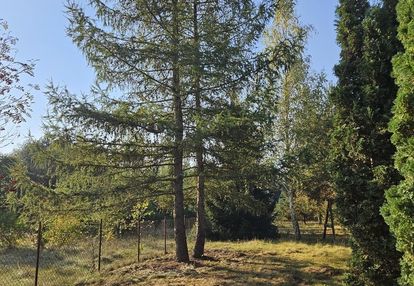 Działka budowlana blisko rzeki wkra