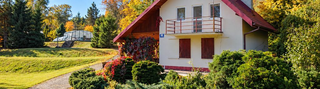 Olszany | nieruchomość rekreacyjna z basenem i wz na dom jednorodzinny