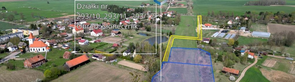 Cisza i przestrzeń – słonecznik, gmina morąg