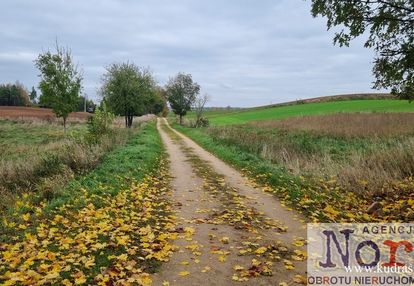 Działka na obrzeżach sejn