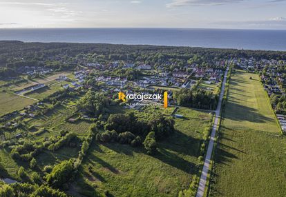 Dębki w pobliżu plaży
