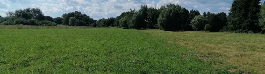 Działka pod siedlisko 8000 m2, wilczkowice dolne