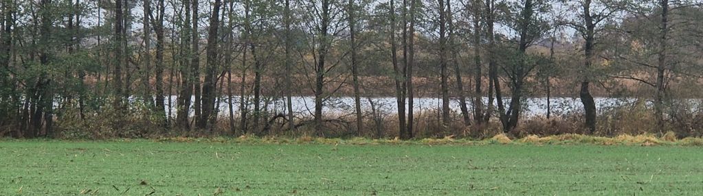 Działka nad jeziorem z warunkami zabudowy