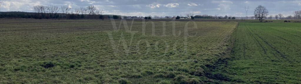 Deszczno k. gorzowa - działki z gotową koncepcją w