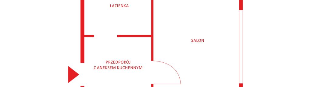 Śródmieście i 1 pokój i gotowiec inwestycyjny
