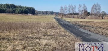 Działka z widokiem na las, pozwolenie na budowę