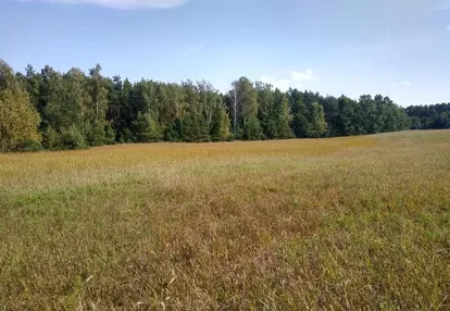 Działka na sprzedaż 1000m2