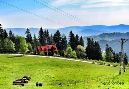 Inwestycyjnie - dom pod lasem/agroturystyka