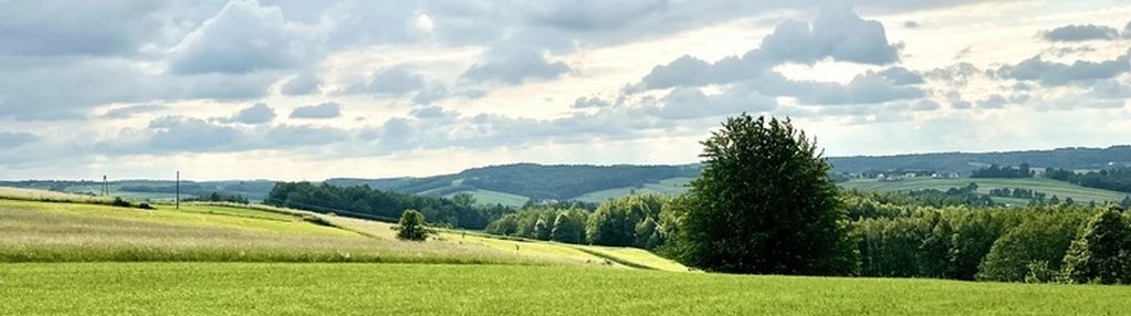 Widokowa działka 56 ar , gm. wiśniowa -wz