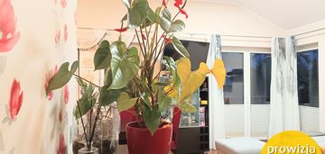 3 pok, duży balkon, 2 m.post, wys ponad 3m, osowa!