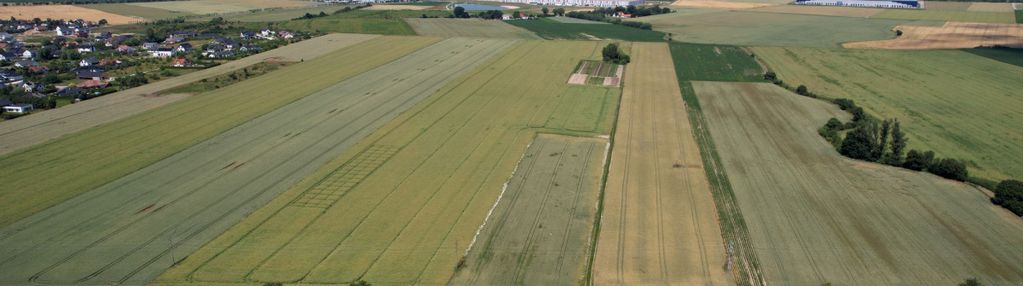 Działka rolna 10 660 m2 - lusówko