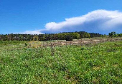 Teren o powierzchni 1,51ha trzciel/jasieniec.