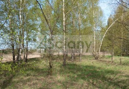 Teren inwestycyjny – świetna oferta w jasienicy