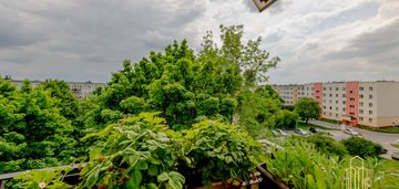 Trzy pokoje wiejska na sprzedaż