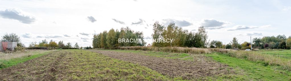 Działka budowlana / 25 ar / płaska / cholerzyn