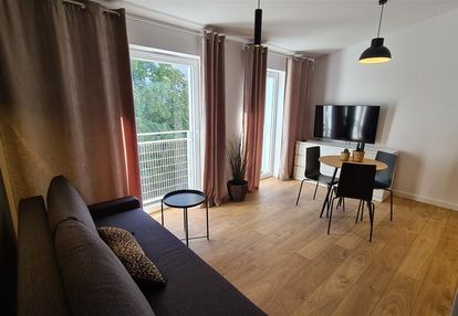 Apartament typu studio dla singla