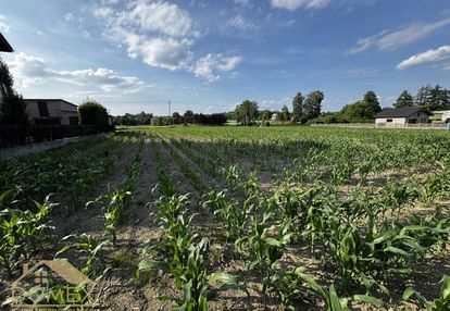 Działka inwestycyjna 5988 m² gorzyce | idealna dla