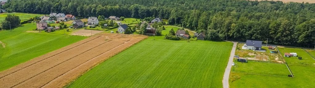 Na sprzedaż działka nidek