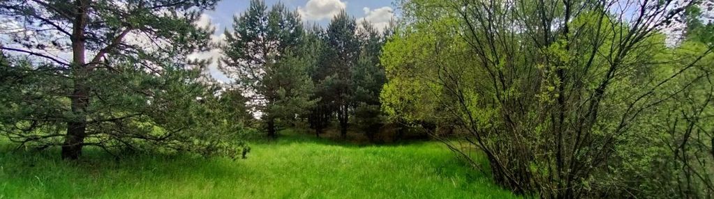 Piękna działka ze stawem, bory tucholskie