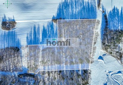 Działka leśna – czarna dąbrówka, rokity