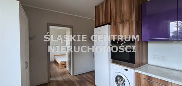 Mieszkanie do wynajęcia dąbrowa górnicza