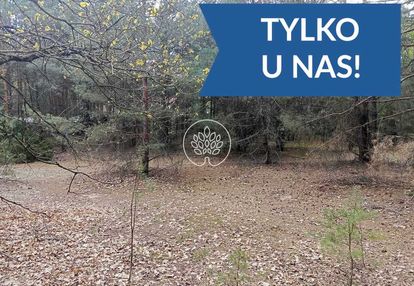 Działki rekreacyjne w dzbądzu – prąd, las, narew