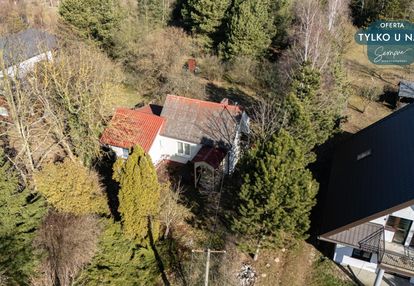 Rzut beretem do zalewu cieszkowskiego - trzepnica