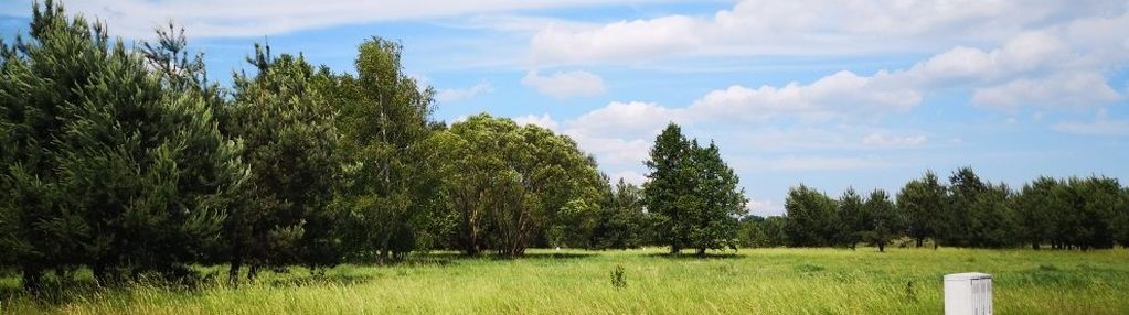 Działka budowlana w skórzewie