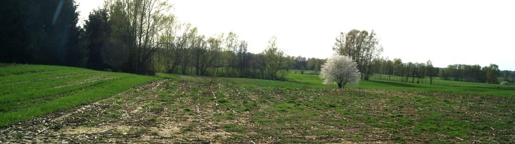 Działki budowlane na mazurach, jedyne i ostatnie