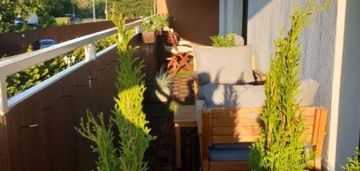 3-pokojowe mieszkanie na włochach