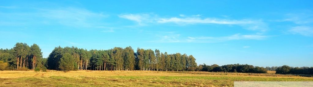 Lubczyna / działka siedlkiskowa