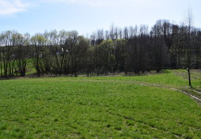 Działka rekreacyjna 40a- manasterz