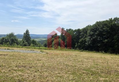 Ostatnia w kompleksie, wz, media, widok, las