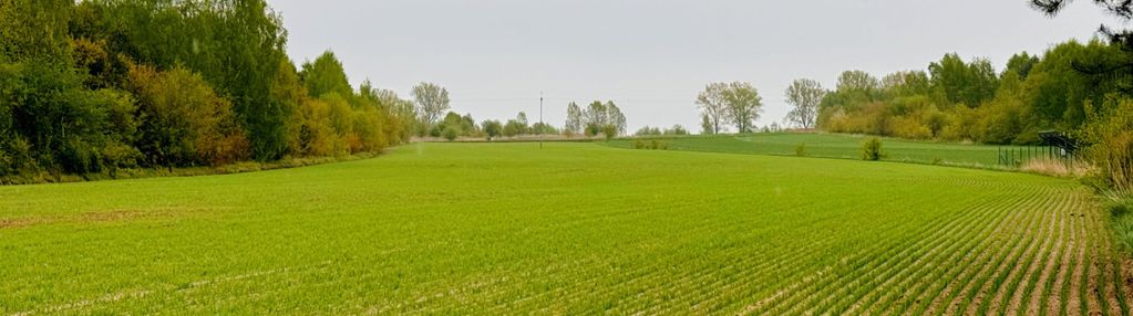 Działka rolno-budowlana w tuszynie