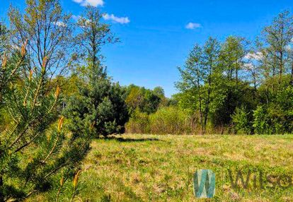 Działka siedliskowa z wz nad rzeką narew