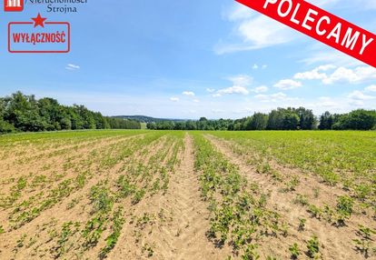 Sławkowice gmina biskupice działka budowlana 13a