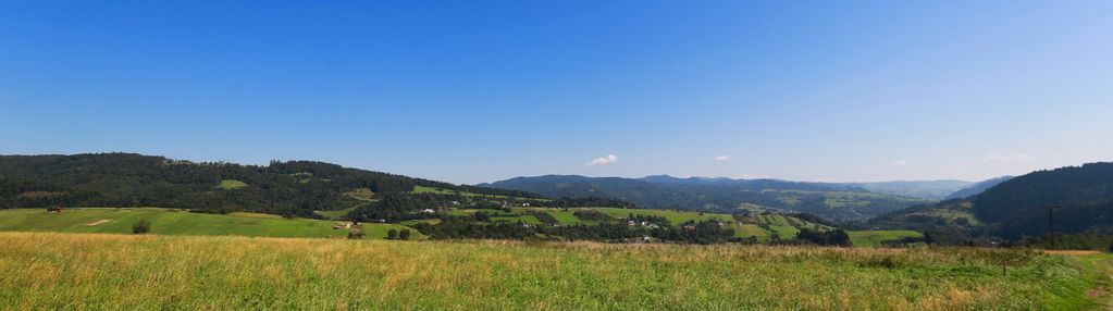 Działa w grywałdzie z możliwością uzyskania wz