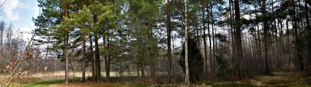 Działka rekreacyjna ludwinów, ul. rubinowa 