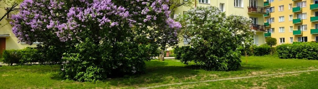 Osiedle leśne 3 pokojowe mieszkanie dwa balkony