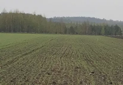 Działka na sprzedaż 3001m2