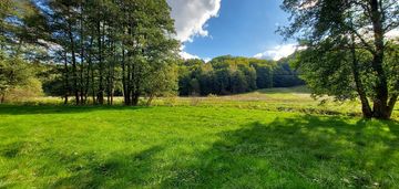 Enklawa pośród pól - 1ha piękna i ciszy | kobysewo