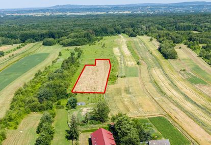 Działka rolna w biadolinach radłowskich!