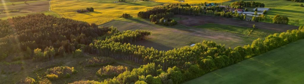 Powstające osiedle domów na kolonii wsi mokiny.