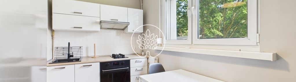 Kawalerka na leśnym