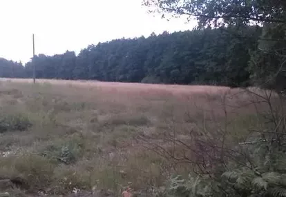 Działka na sprzedaż 329m2