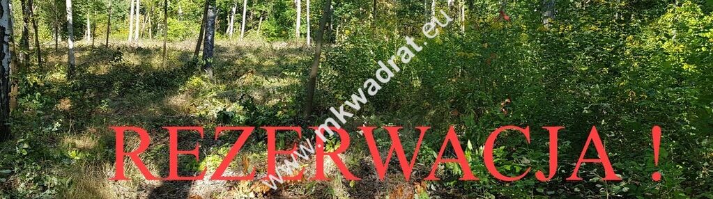 ⭐⭐⭐⭐ superdziałka dobra cena przy lesie młochowski