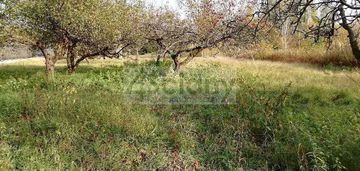 Duża, pełna zieloności działka nieopodal lasu